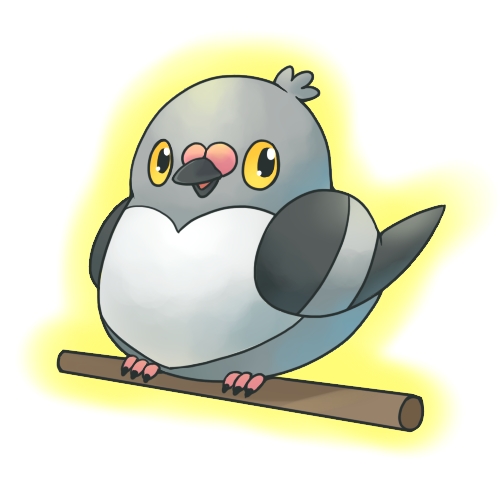 03 519 豆豆鸽 マメパト