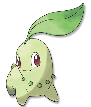 03 152 菊草叶 チコリータ