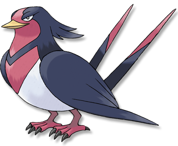 03 277 大王燕 オオスバメ